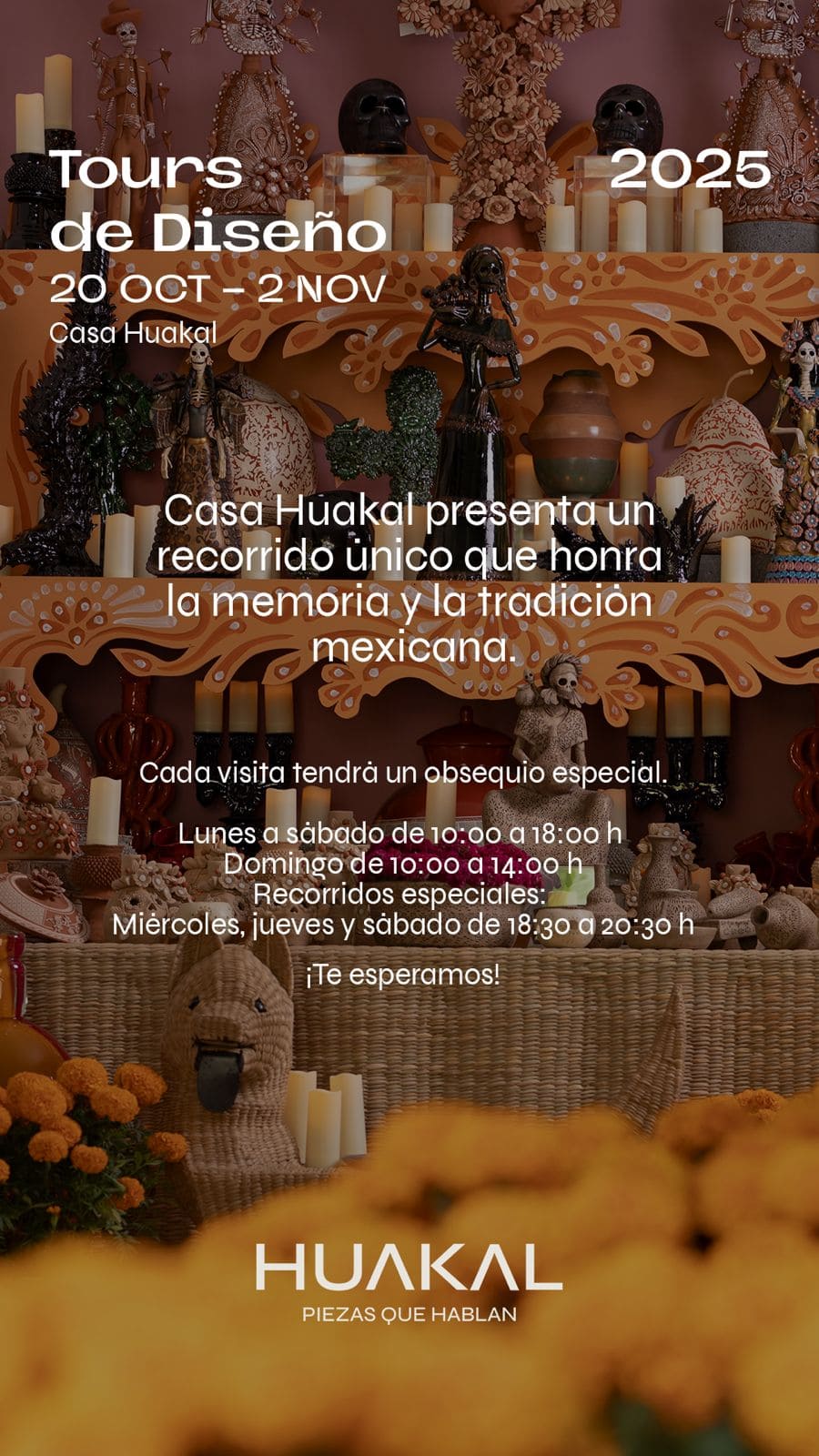 WhatsApp Image 2025-10-20 at 17.16.05 (1)