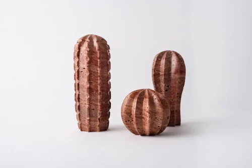 CACTUS SET