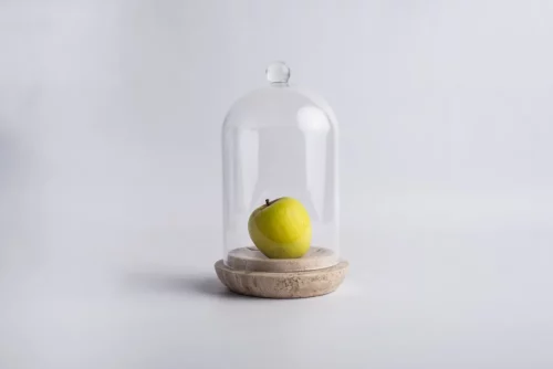 FRUIT BOWL w_ DOME LESS IS MORE