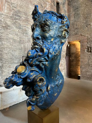 CABEZA BARBUDO JAVIER MARIN 