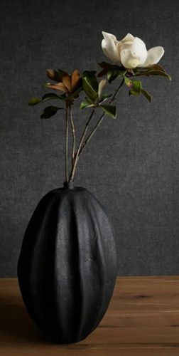 CACAO PULPAPAPEL NEGRO