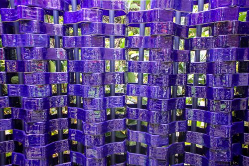 Celosia de Talavera 2