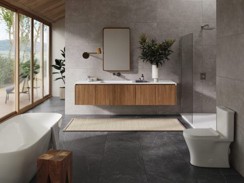 ESSENCE RECTIFICADO HARMONIE GRAPHITE 60X120 