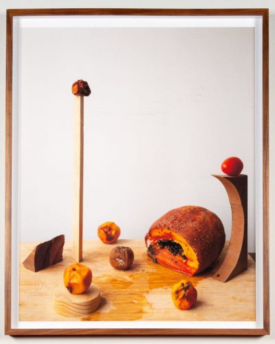 Pavka Segura Ciudad Pangolin