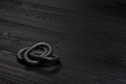 ROBLE EUROPEO EBRO 2