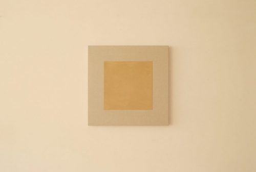 SE VE LA TIERRA POR QUE LA CASA NO TIENE PAREDES I